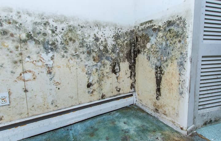 residential mold removal experts in Peachtree City